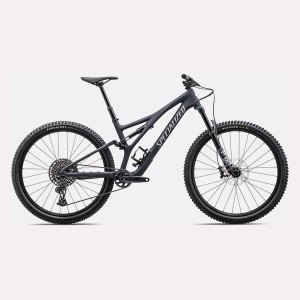 Stumpjumper Comp | Satin...