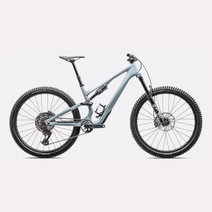 Stumpjumper 15 Comp | Gloss...