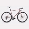 Tarmac SL8 Expert | Satin Champagne