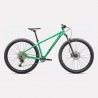 Rockhopper Expert | Gloss Electric Green